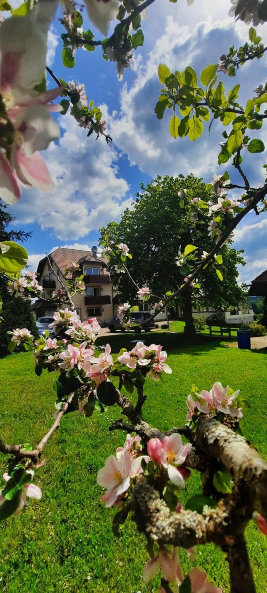 Hotel Gasthof Jaegerhaus Sankt Peter Dış mekan fotoğraf